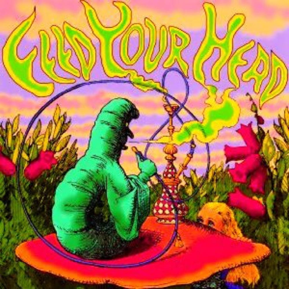 Meet your Posher, Micah